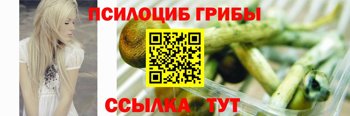 Сертолово  Галлюциногенные грибы Psilocybe  Вход с VPN 