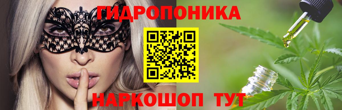 Бошки Шишки семена Сертолово